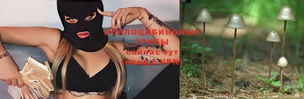не бодяженный Балахна