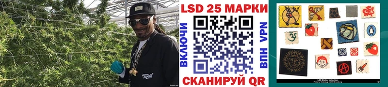 OMG вход Куровское Марки 25I-NBOMe 1,8мг купить наркотик