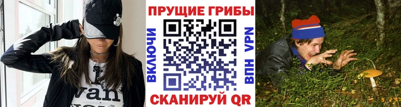 Галлюциногенные грибы Cubensis  Куровское 
